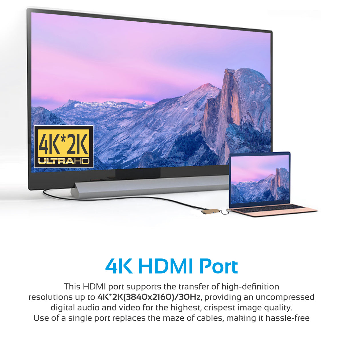 PrimeHub-C Gold