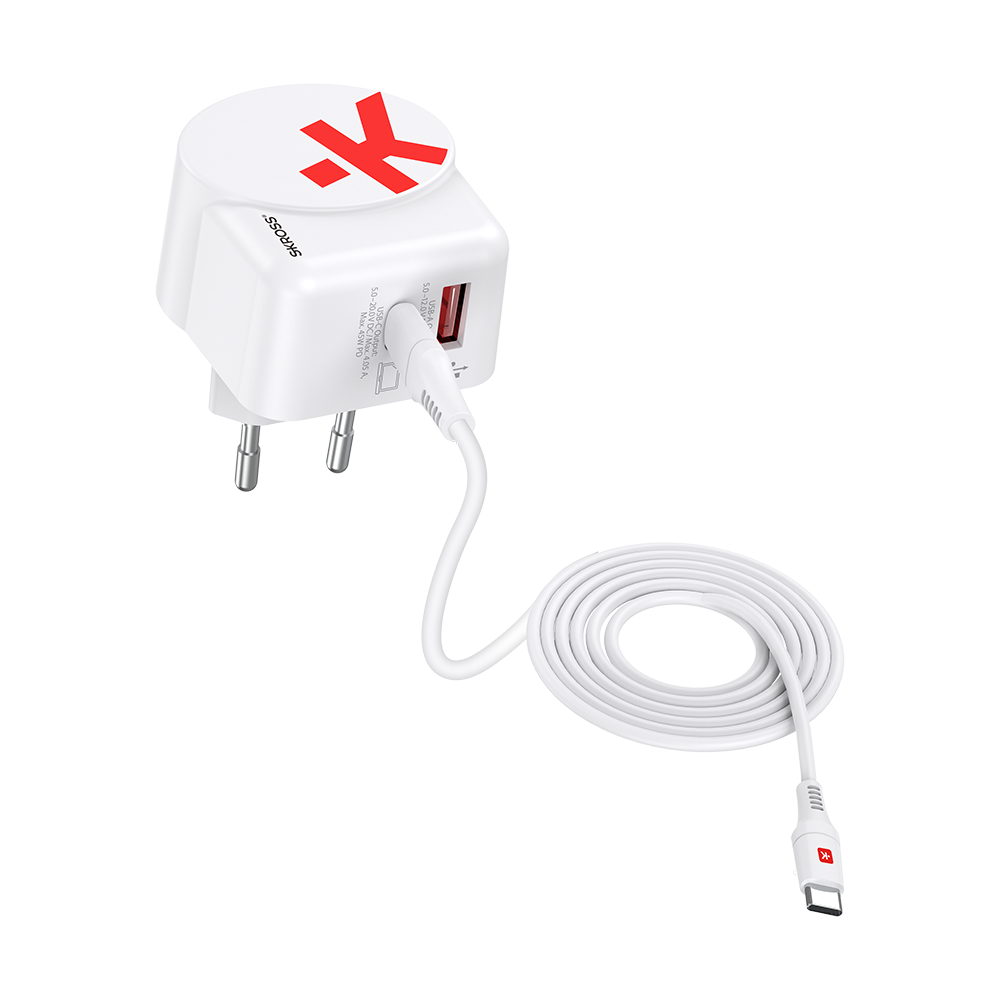 Euro USB Charger AC45PD with USB C cable